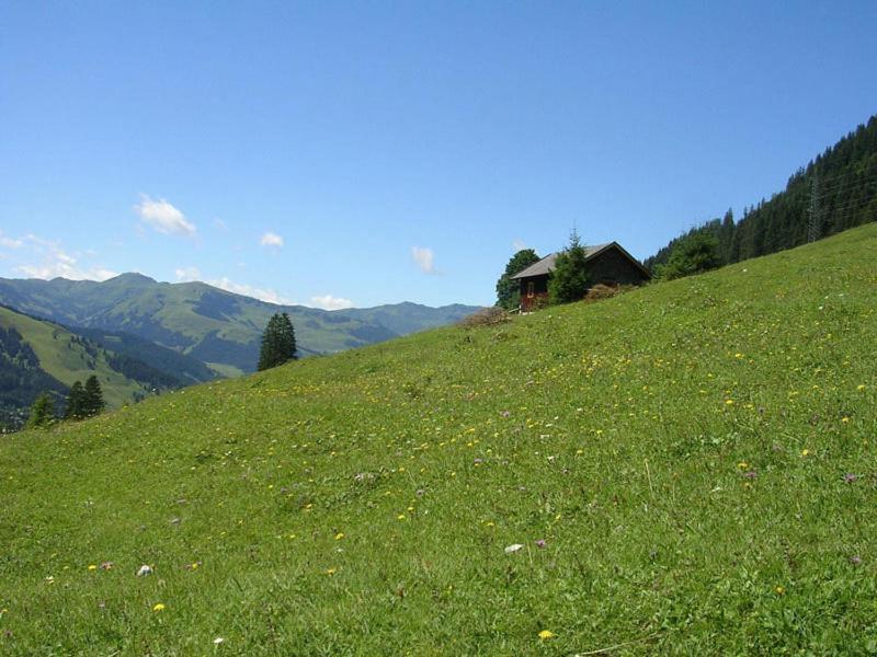 Hotel Langeck Maria Alm am Steinernen Meer Eksteriør billede